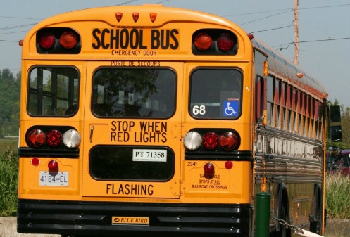 back end of yellow school bus